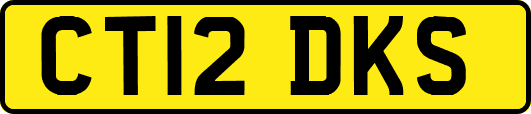CT12DKS