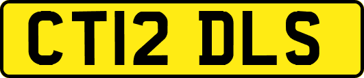 CT12DLS