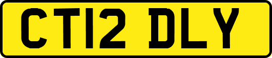 CT12DLY