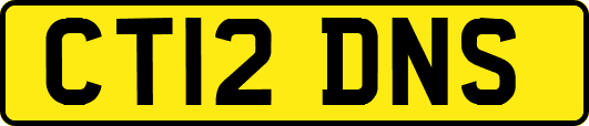 CT12DNS