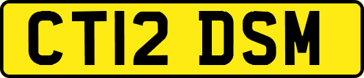 CT12DSM