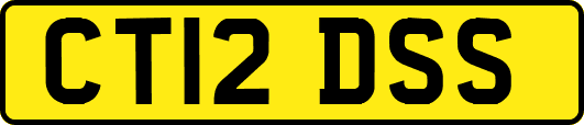 CT12DSS