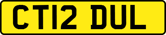 CT12DUL