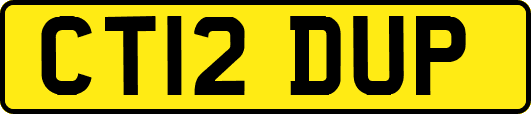 CT12DUP