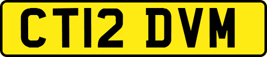 CT12DVM
