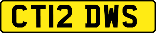 CT12DWS