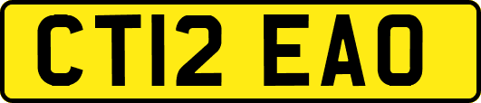 CT12EAO