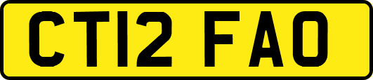 CT12FAO