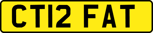 CT12FAT