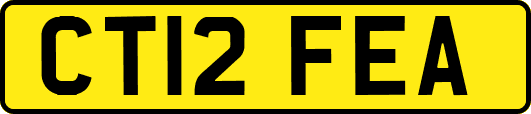 CT12FEA