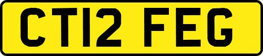 CT12FEG