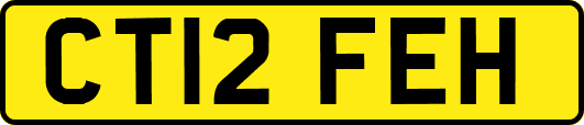 CT12FEH