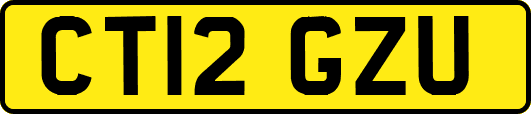 CT12GZU