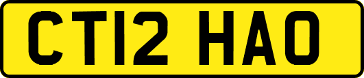 CT12HAO