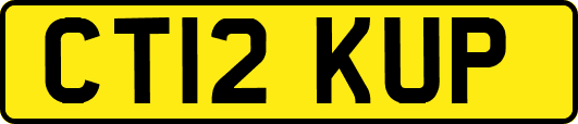 CT12KUP