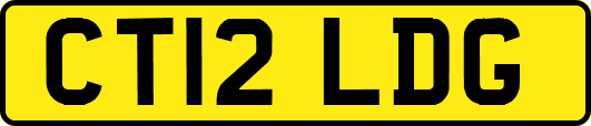 CT12LDG