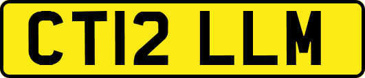CT12LLM