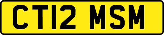 CT12MSM
