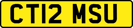 CT12MSU