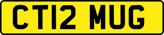 CT12MUG