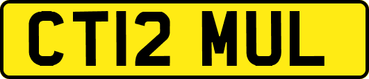 CT12MUL