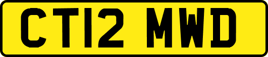CT12MWD
