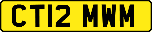 CT12MWM