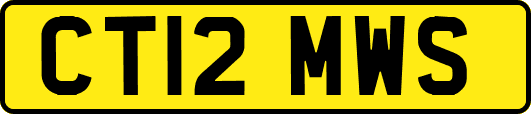 CT12MWS