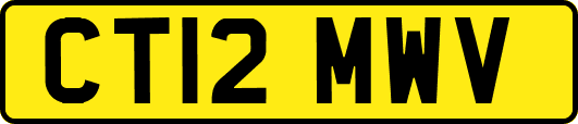 CT12MWV