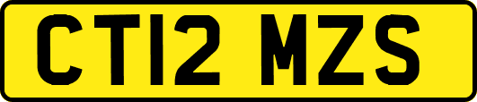 CT12MZS