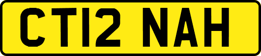 CT12NAH