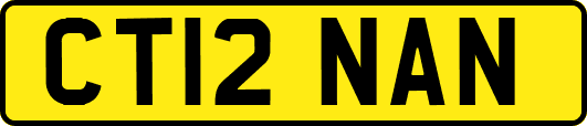 CT12NAN