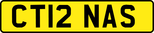 CT12NAS