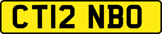 CT12NBO