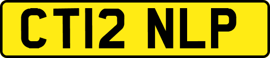 CT12NLP