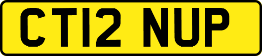 CT12NUP