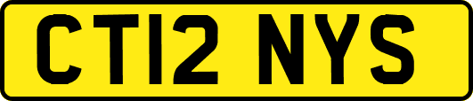 CT12NYS
