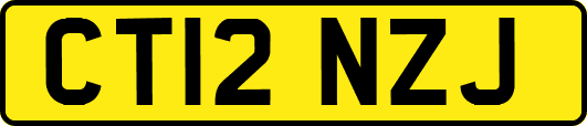 CT12NZJ