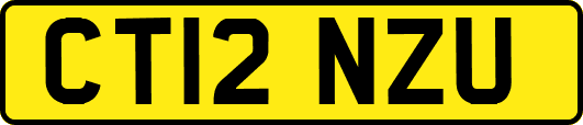 CT12NZU
