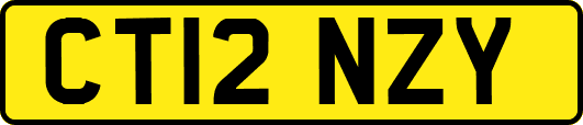 CT12NZY