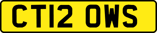 CT12OWS