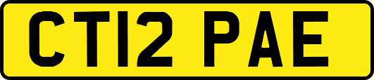 CT12PAE