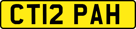 CT12PAH