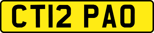 CT12PAO