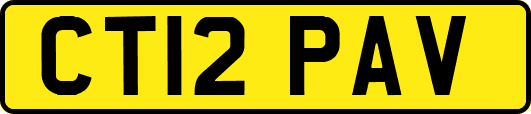 CT12PAV