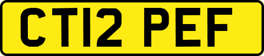 CT12PEF