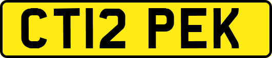 CT12PEK