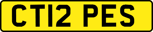 CT12PES