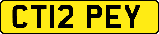 CT12PEY