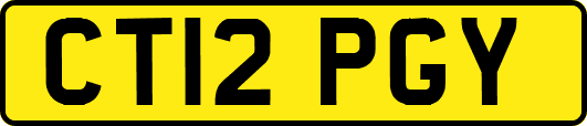 CT12PGY